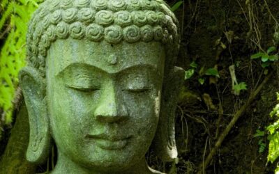 Que son las ragas en el Ayurveda